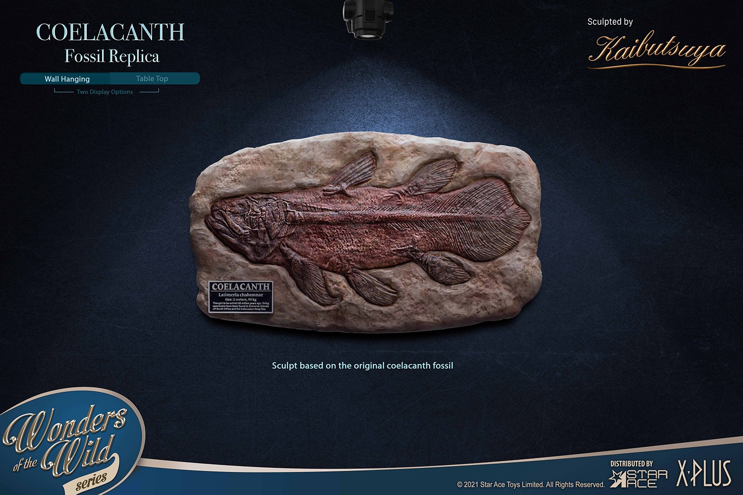 Coelacanth (Deluxe Version) (Prototype Shown) View 11