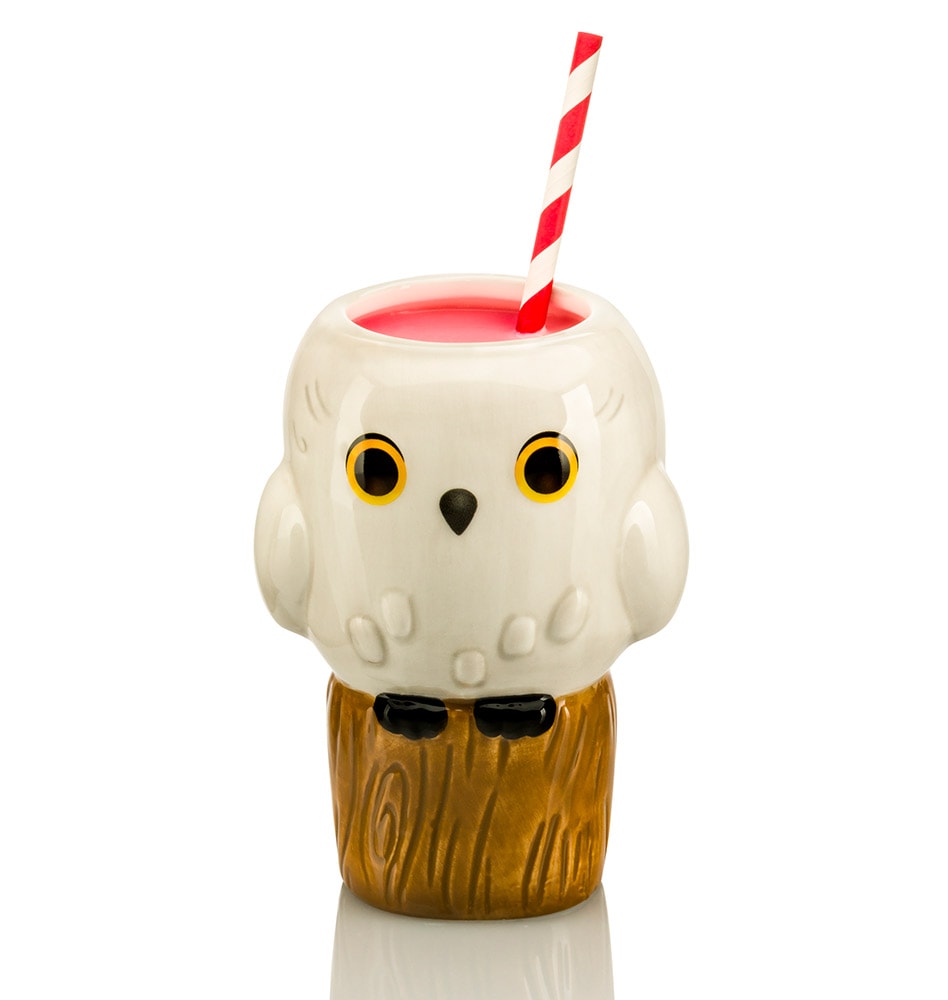 Hedwig- Prototype Shown
