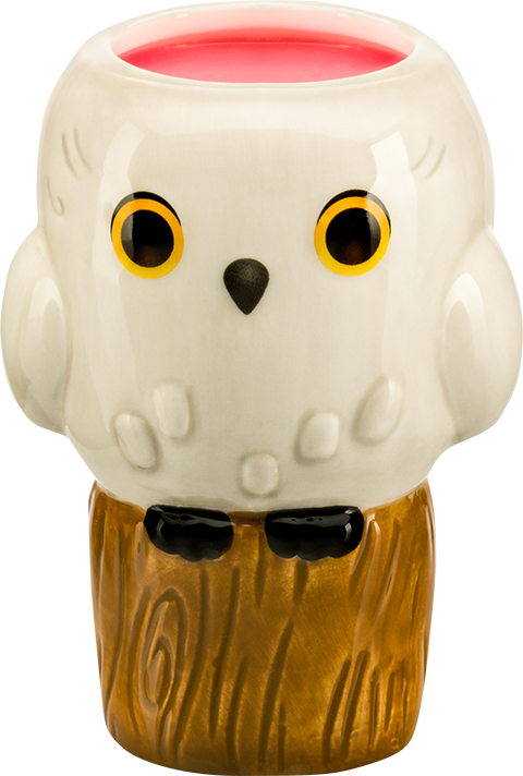 Hedwig- Prototype Shown