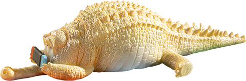 Crawling Crocodile (Pineapple)