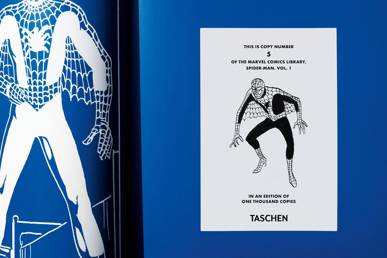 Marvel Comics Library. Spider-Man. Vol. 1. 1962-1964 (Collector's Edition)