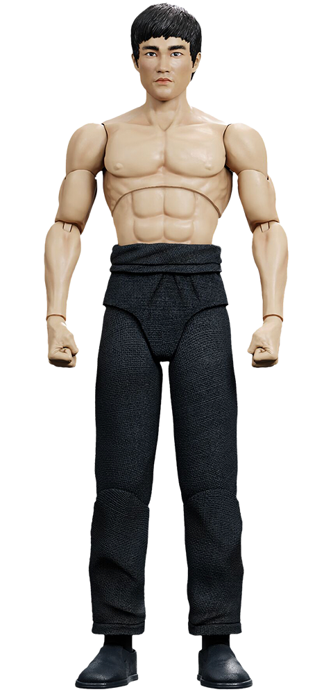The Warrior (Prototype Shown) View 4