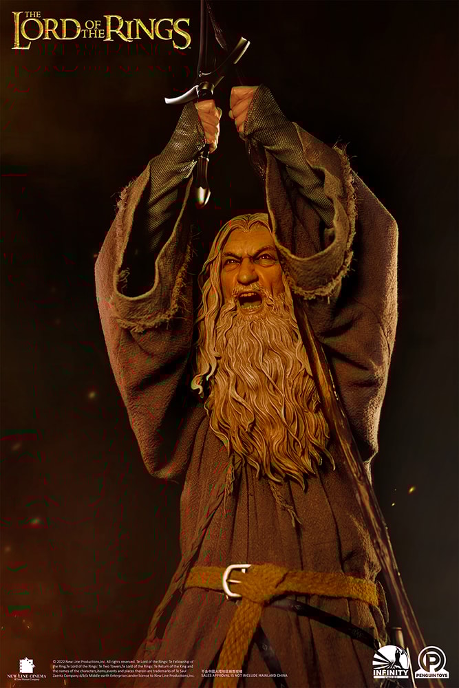 Gandalf the Grey (Premium Edition)
