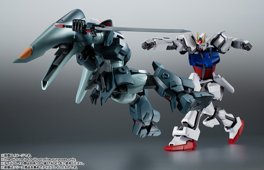 ZGMF-1017 Ginn Ver. A.N.I.M.E