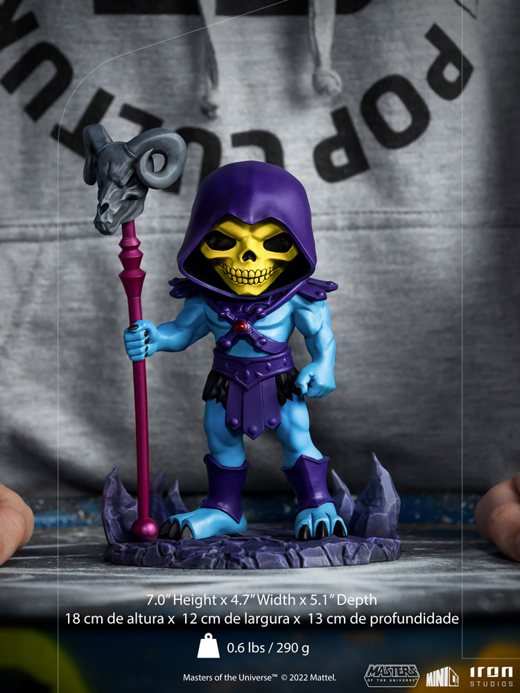 Skeletor Mini Co. (Prototype Shown) View 6