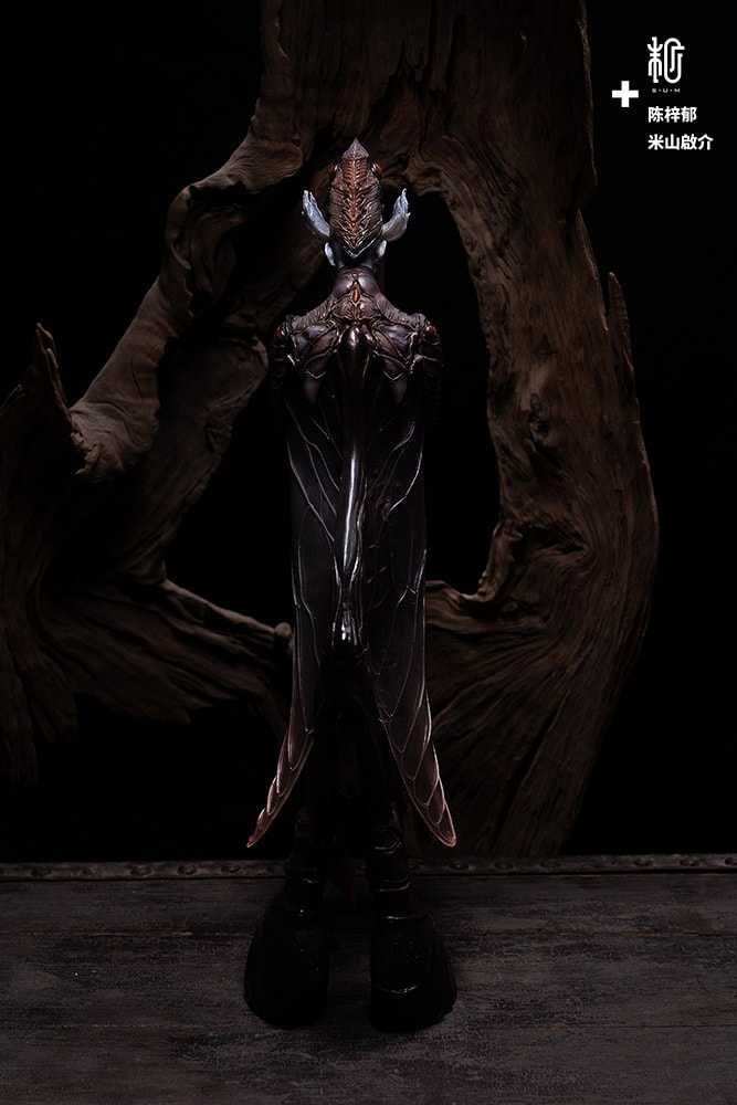 Black Cicada