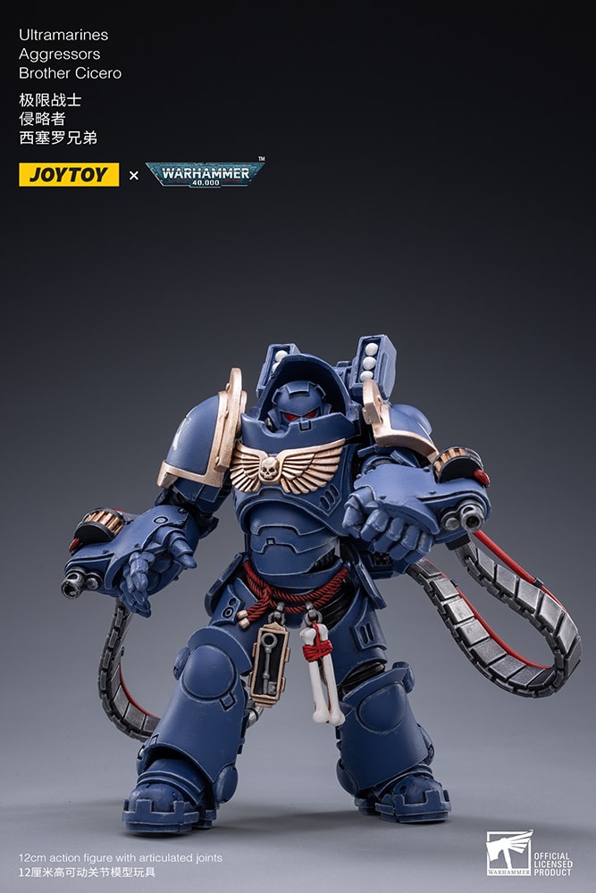 Ultramarines Aggressors