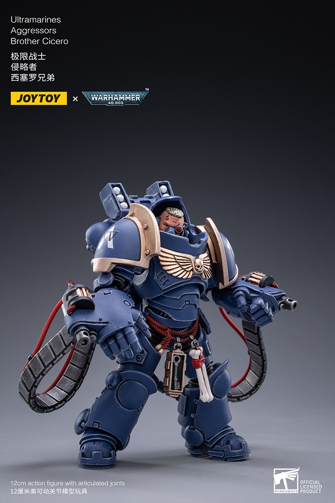 Ultramarines Aggressors