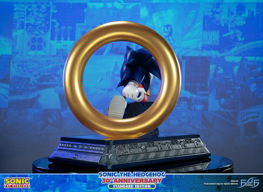 Sonic The Hedgehog 30th Anniversary