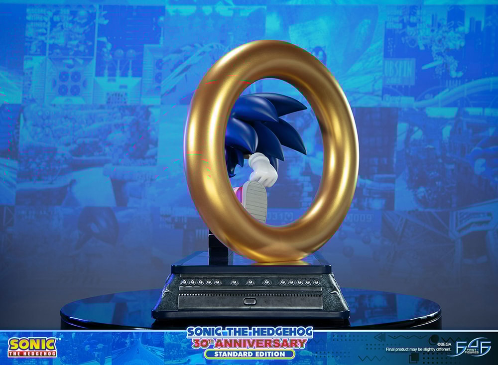 Sonic The Hedgehog 30th Anniversary