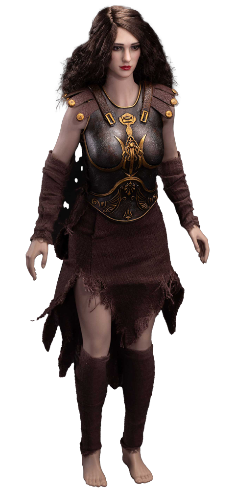 Soldier Amazon (Brown)