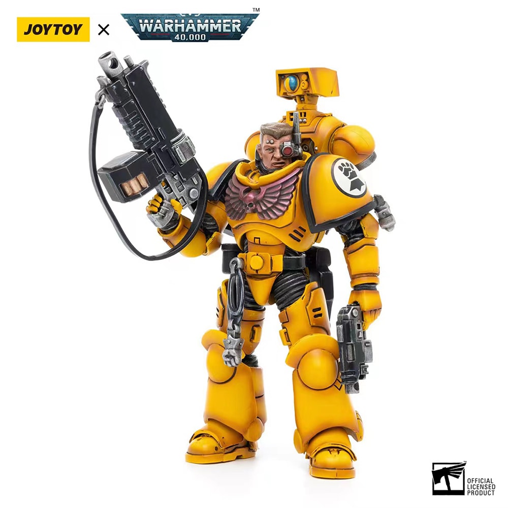 Intercessors Brother Marine 02- Prototype Shown