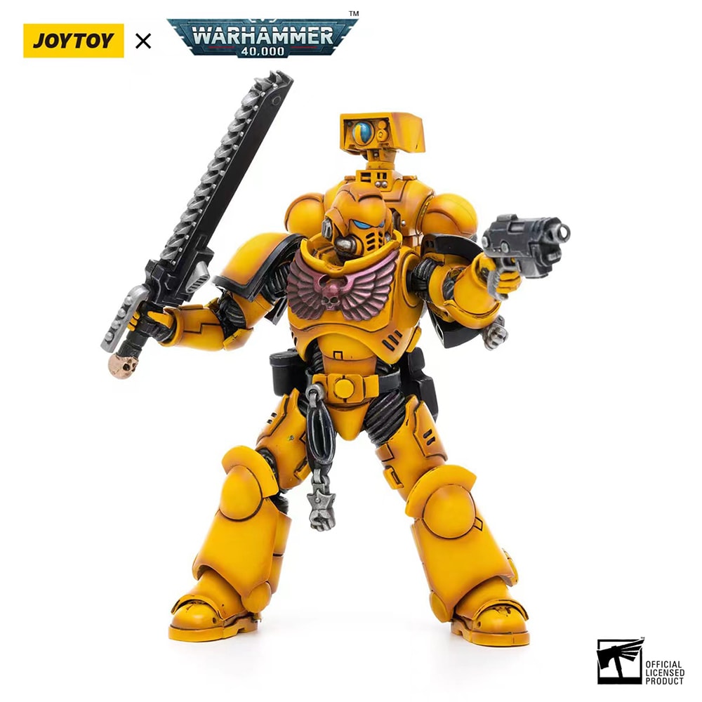Intercessors Brother Marine 02- Prototype Shown