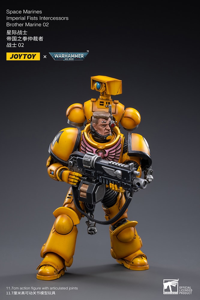Intercessors Brother Marine 02- Prototype Shown