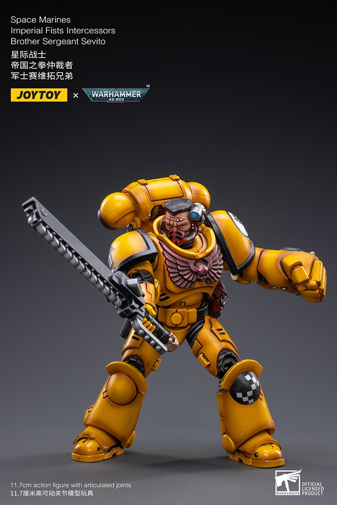 Intercessors Brother Sergeant Sevito- Prototype Shown