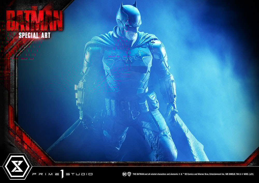 The Batman Special Art Edition Collector Edition (Prototype Shown) View 11