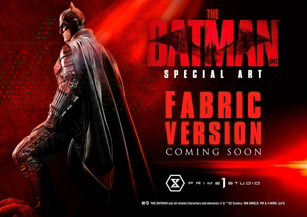 The Batman Special Art Edition Collector Edition (Prototype Shown) View 19