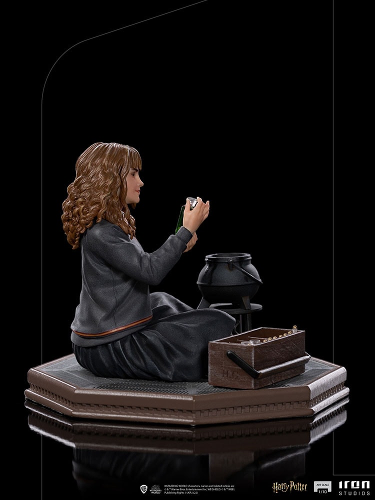 Hermione Granger Polyjuice