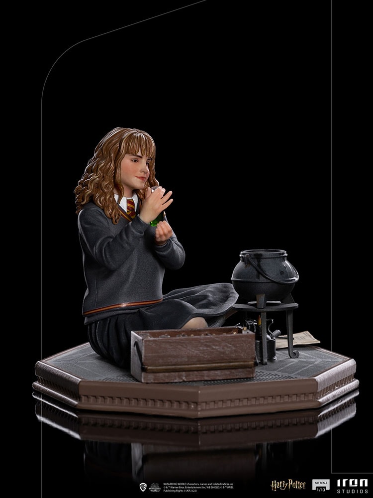 Hermione Granger Polyjuice