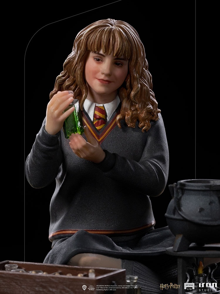 Hermione Granger Polyjuice