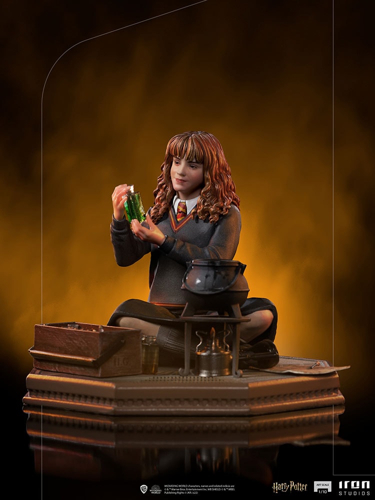 Hermione Granger Polyjuice