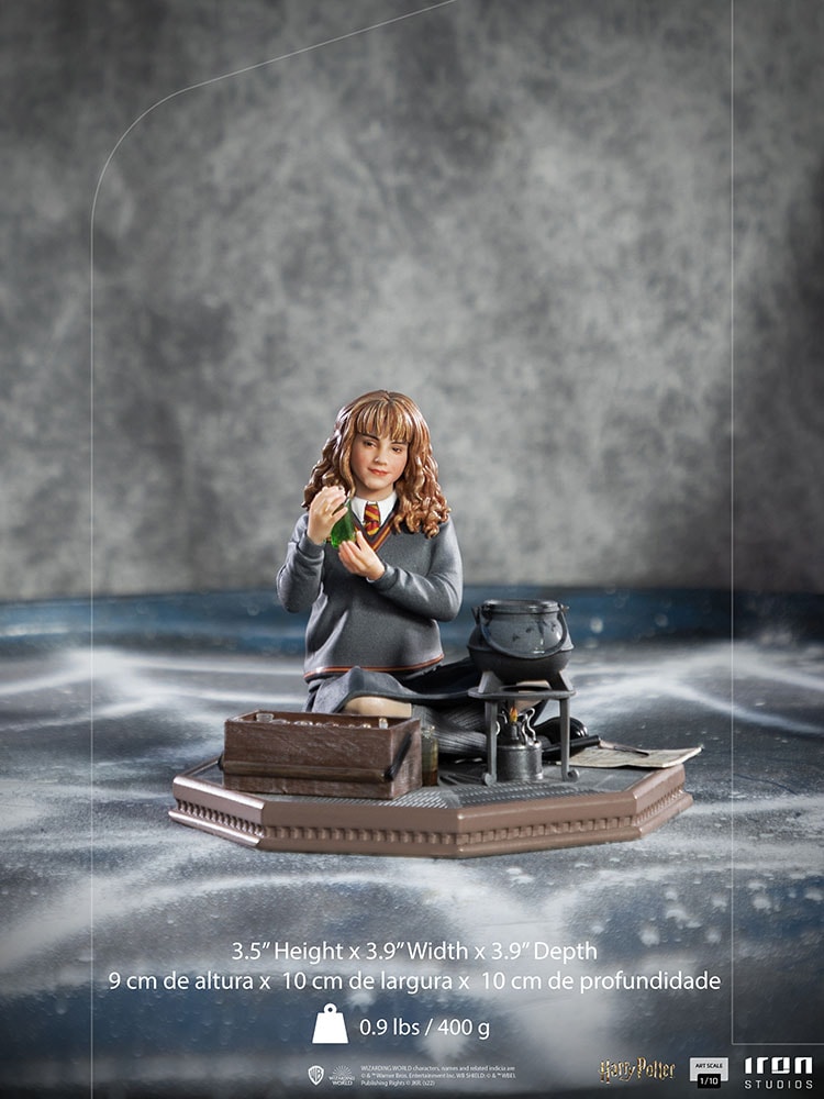 Hermione Granger Polyjuice