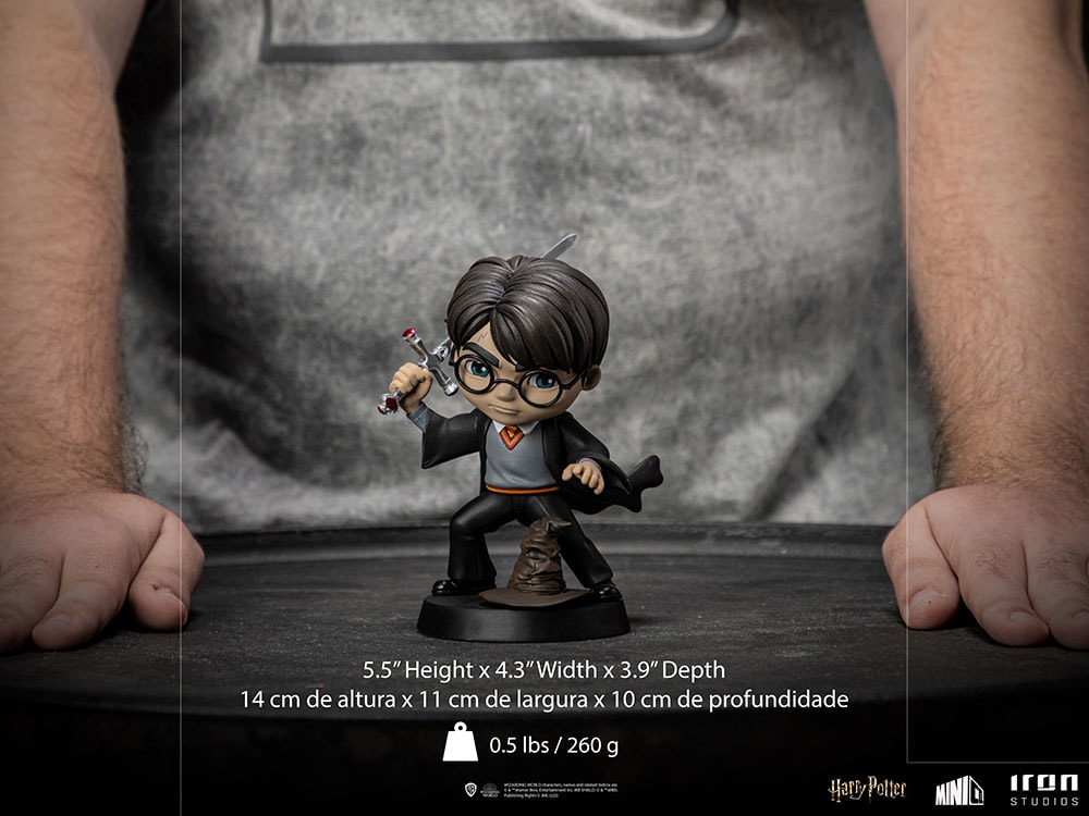 Harry Potter with Sword of Gryffindor Mini Co.