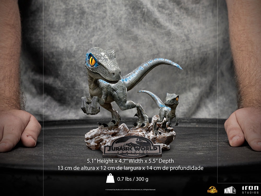 Blue and Beta Mini Co.