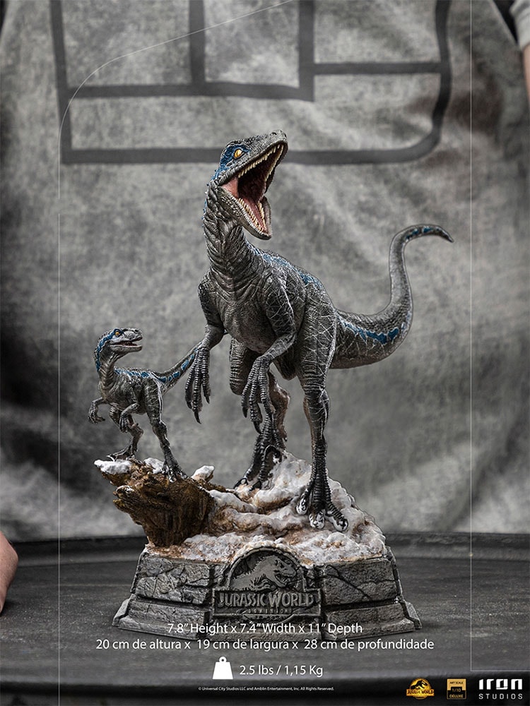 Blue and Beta Deluxe- Prototype Shown