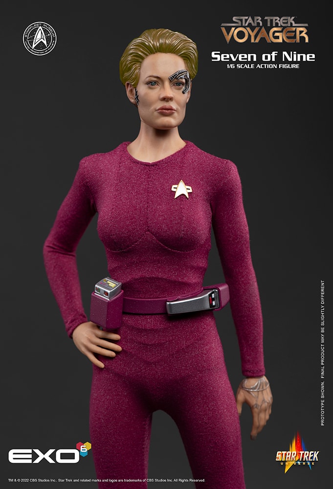 Star Trek Seven of Nine Sixth Scale Figure  (Prototype Shown) View 7