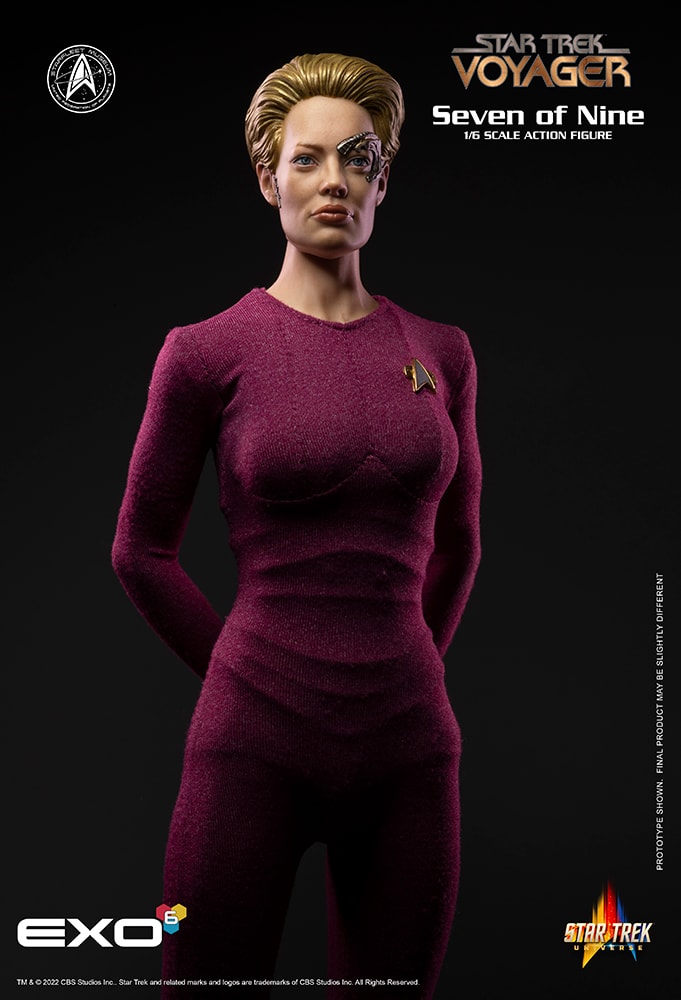 Star Trek Seven of Nine Sixth Scale Figure  (Prototype Shown) View 14