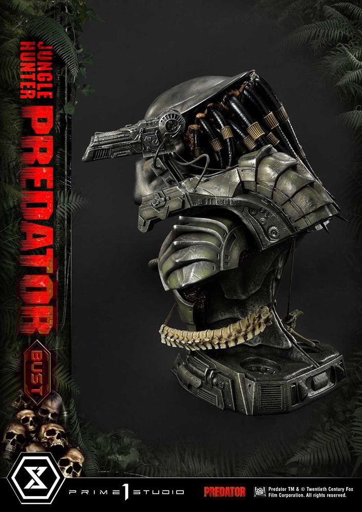 Jungle Hunter Predator