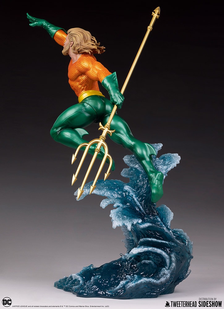 Aquaman (Prototype Shown) View 18
