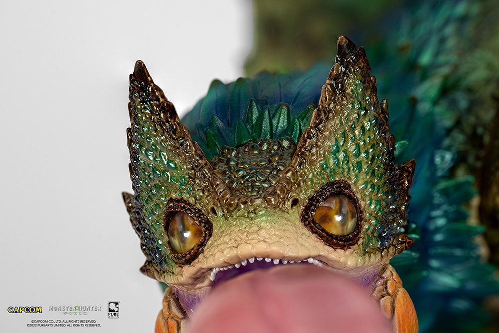 Pukei-Pukei