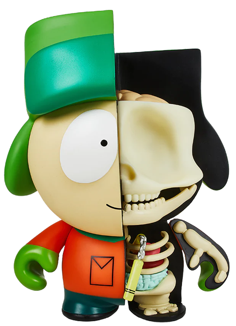 Kyle Anatomy