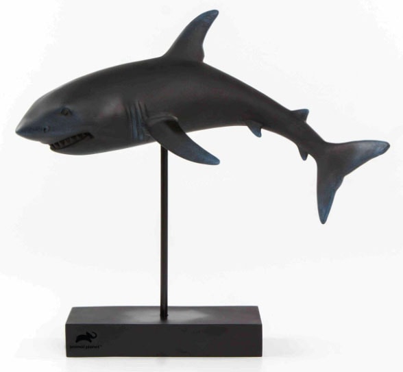 Animal Planet Shark- Prototype Shown