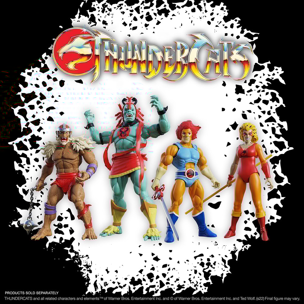 Cheetara (Toy Version)- Prototype Shown