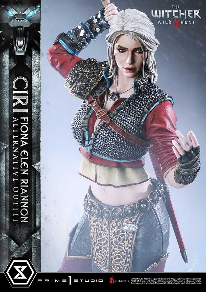Cirilla Fiona Elen Riannon Alternative Outfit