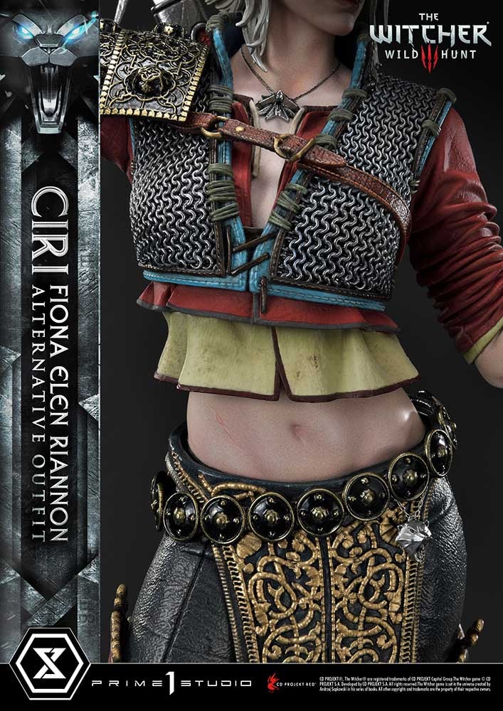 Cirilla Fiona Elen Riannon Alternative Outfit