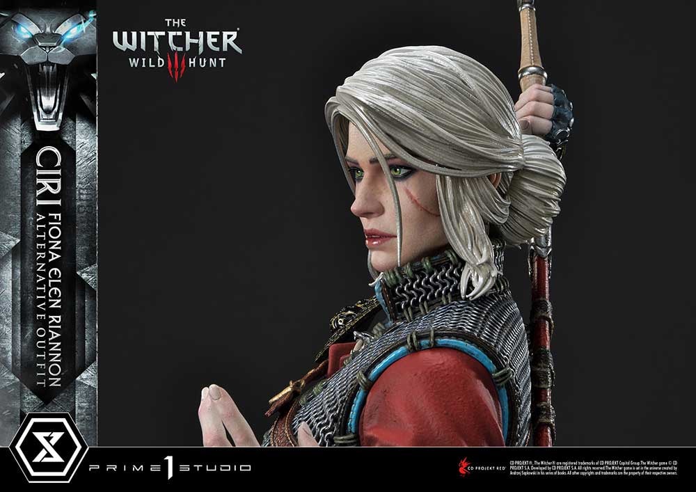 Cirilla Fiona Elen Riannon Alternative Outfit