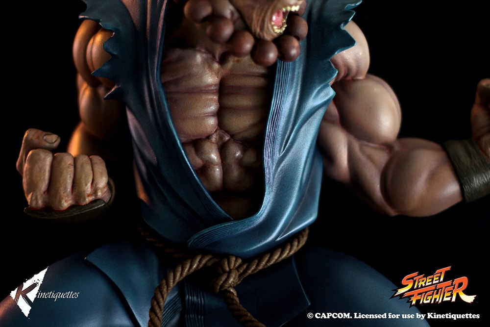 Akuma EX Alpha (Prototype Shown) View 31