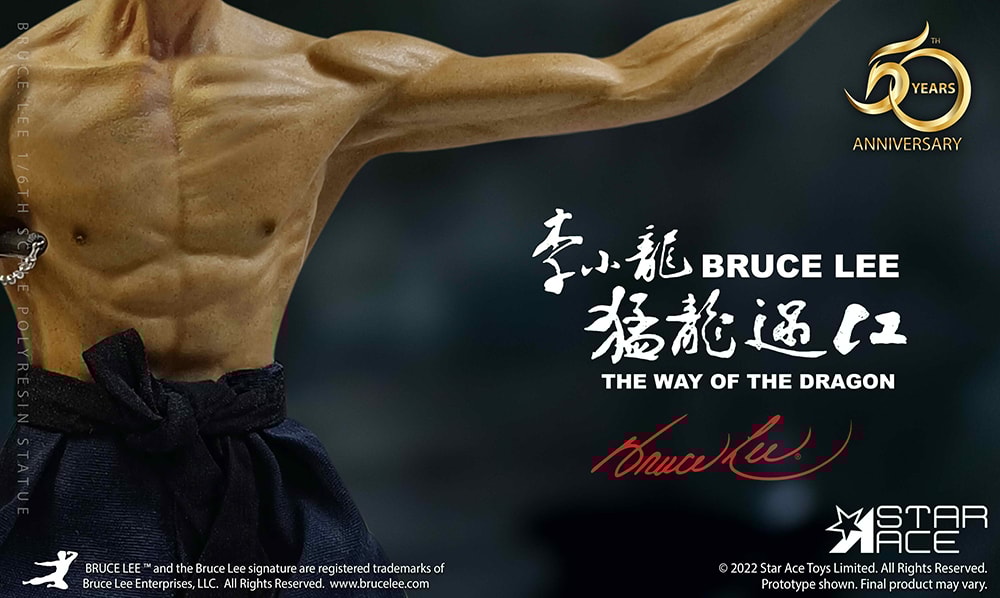 Bruce Lee Collector Edition - Prototype Shown