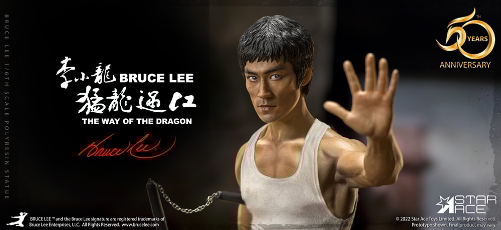 Bruce Lee Collector Edition - Prototype Shown