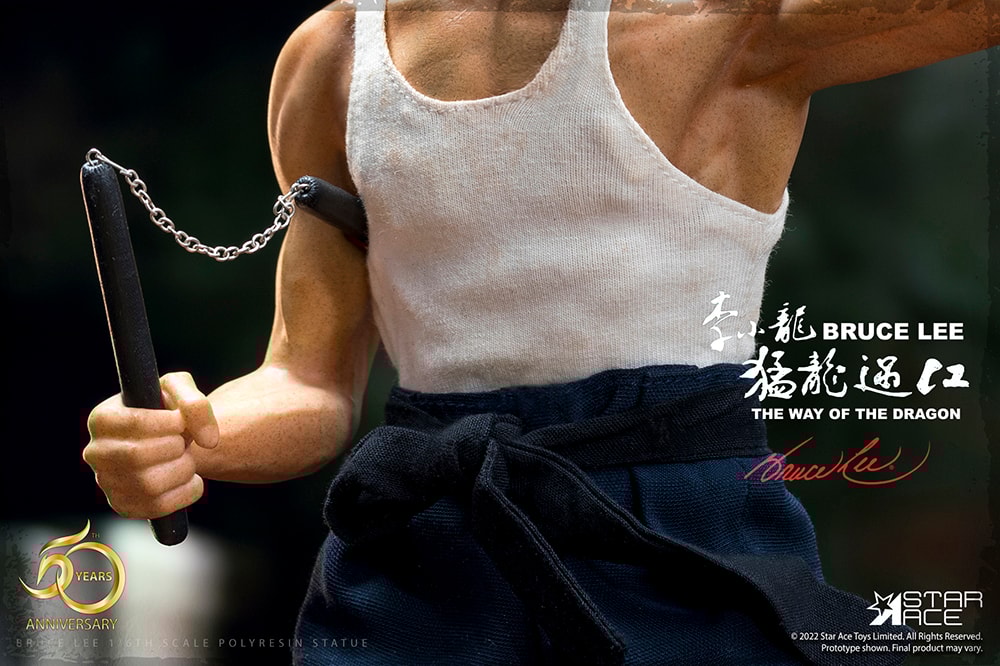 Bruce Lee Collector Edition - Prototype Shown