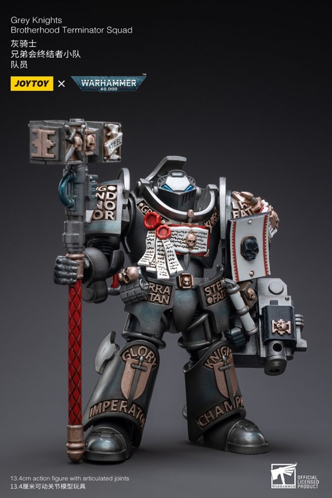 Grey Knights Terminator Caddon Vibova