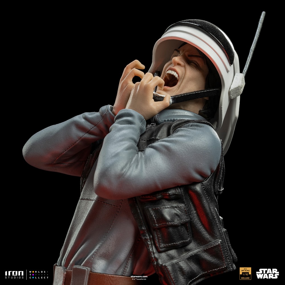 Darth Vader Deluxe