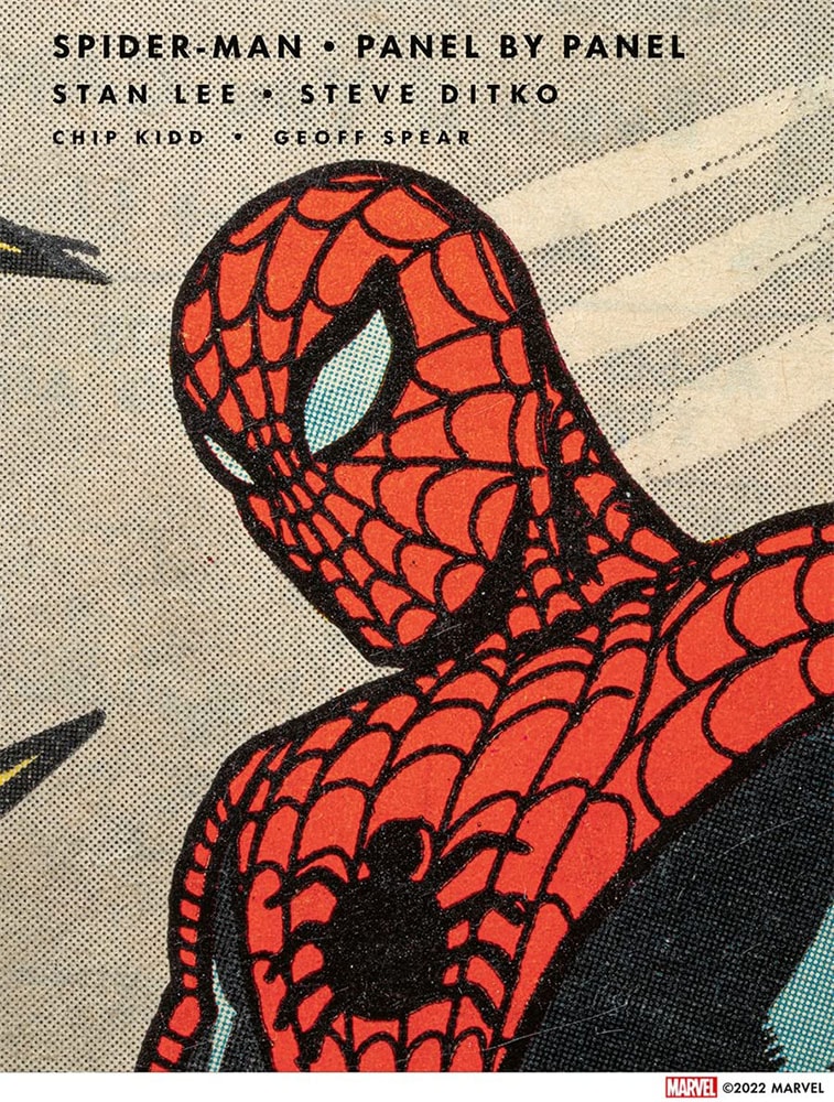Spider-Man: Panel by Panel View 1