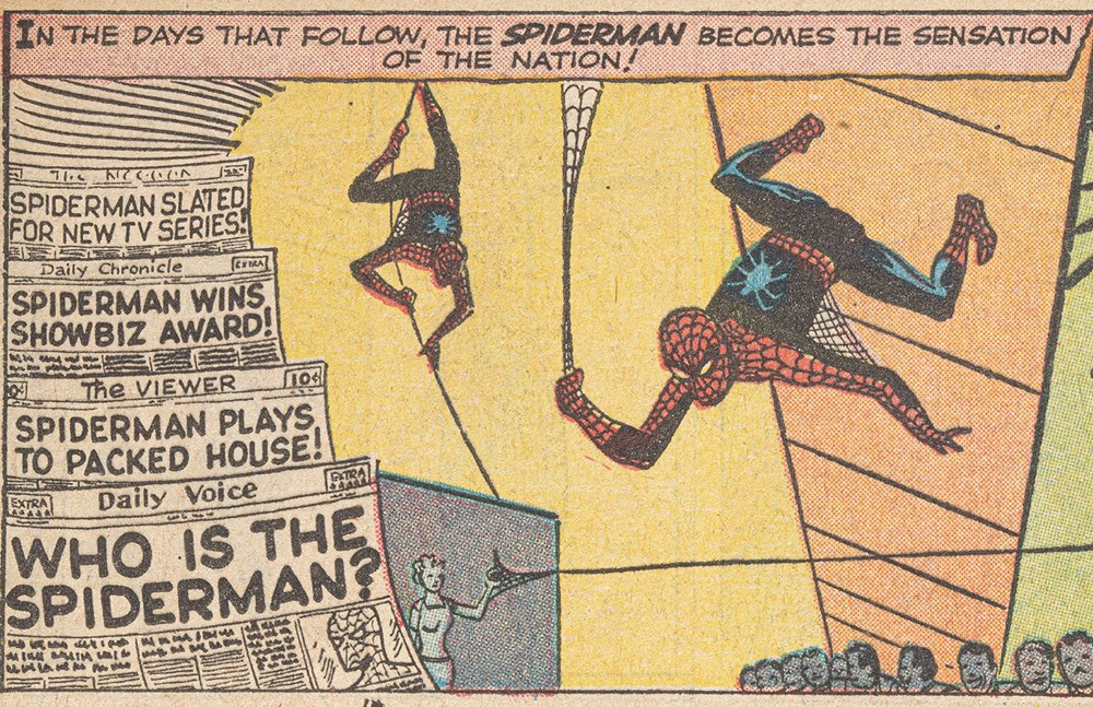 Spider-Man: Panel by Panel View 4