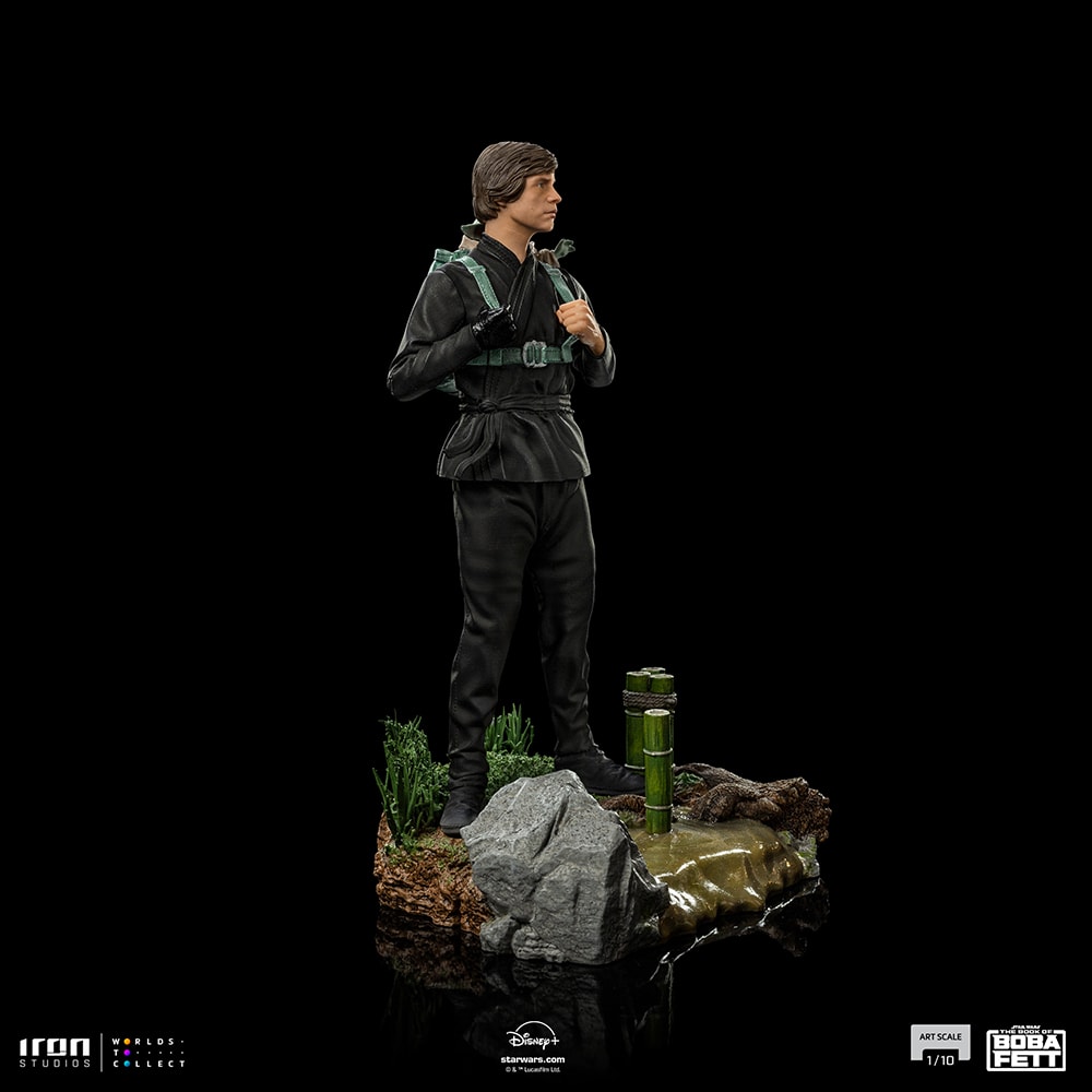 Luke Skywalker and Grogu Training (Prototype Shown) View 3