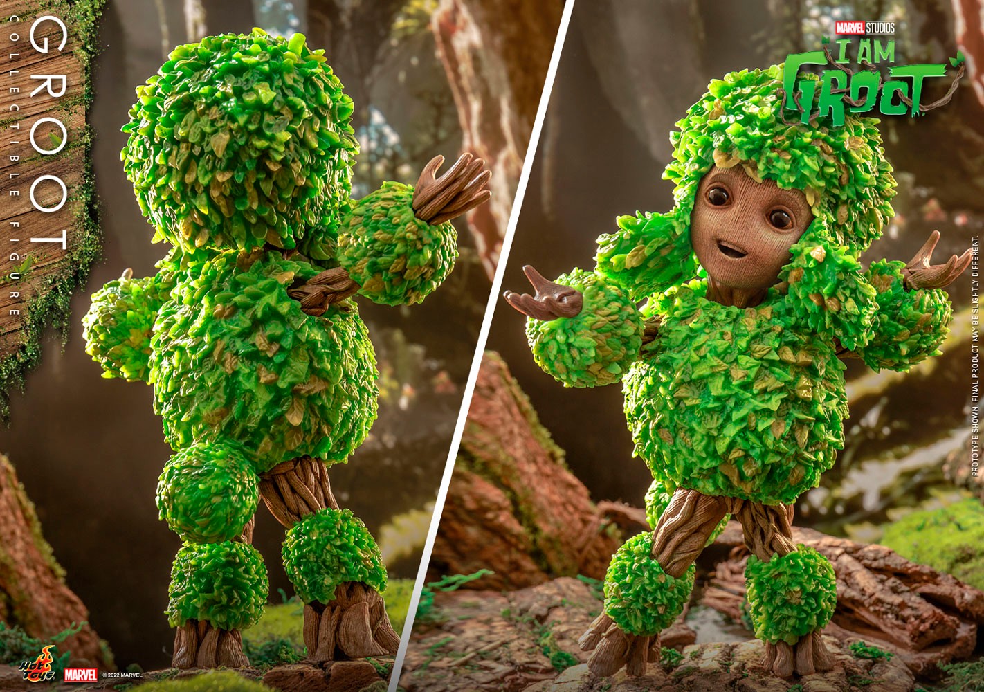 Groot